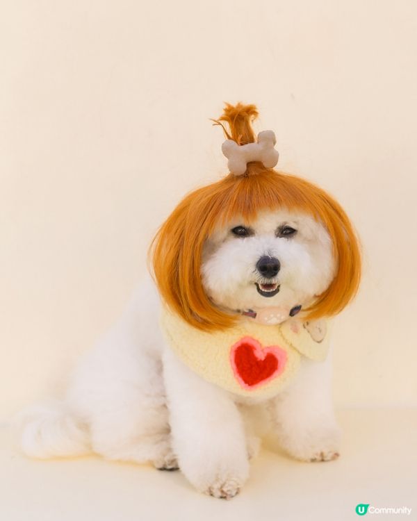 日本小眾旅行地點! 帶狗登上🧅洋蔥星球 