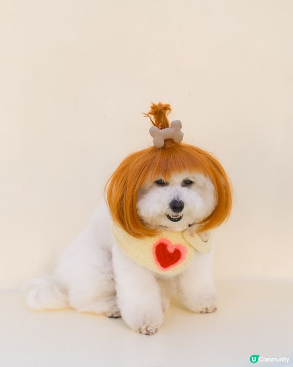 日本小眾旅行地點! 帶狗登上🧅洋蔥星球 