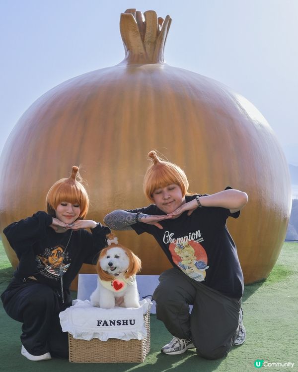 日本小眾旅行地點! 帶狗登上🧅洋蔥星球 