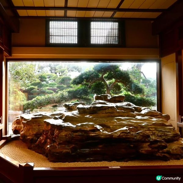 南蓮園池鬧市中的聖地