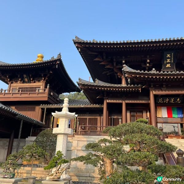 南蓮園池鬧市中的聖地