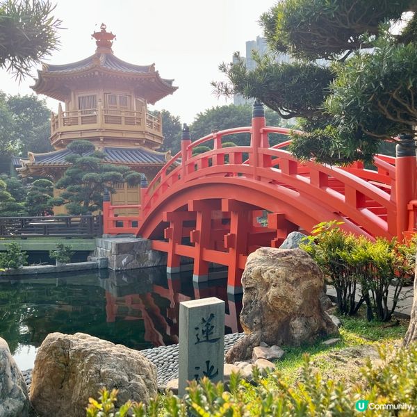 南蓮園池鬧市中的聖地