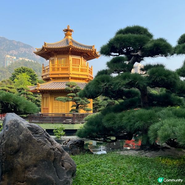 南蓮園池鬧市中的聖地