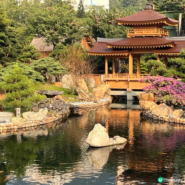 南蓮園池鬧市中的聖地