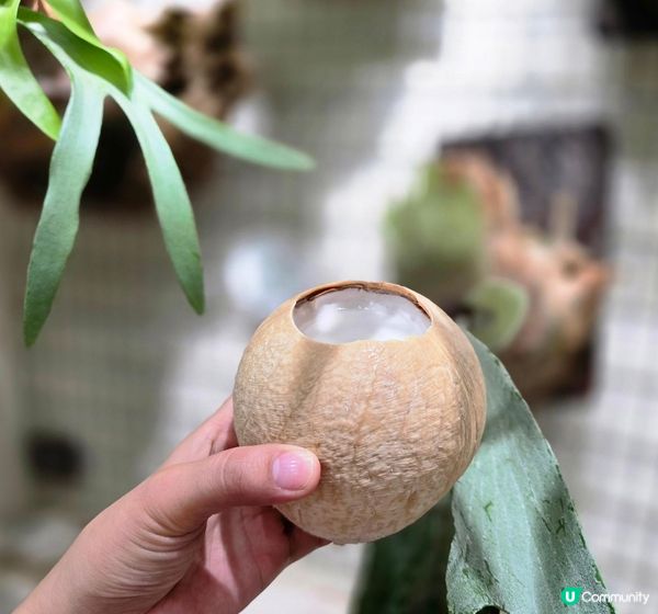 店舖很近沙灘海旁，是長洲的打卡熱點，店內有數張座椅可供堂食，...