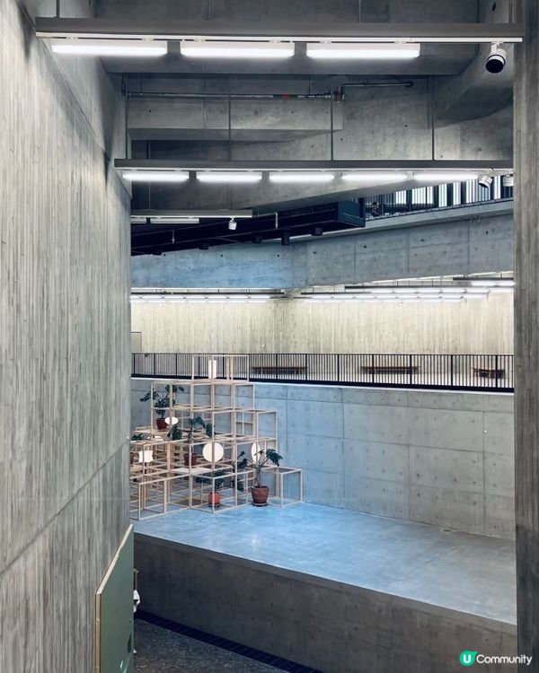 野口勇光之藝術 ✨ 