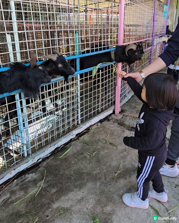 ‼️$150全日任玩香港無動力樂園🤩