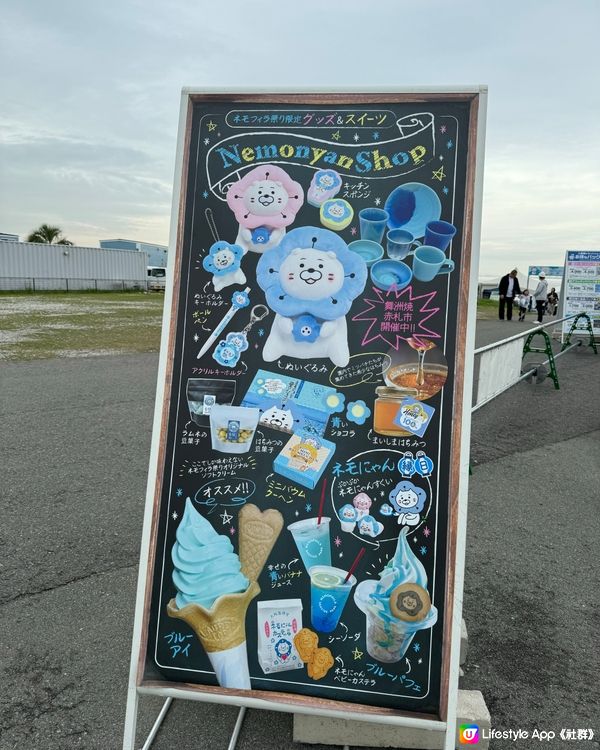 大阪粉蝶花祭✨ 4月限定💙