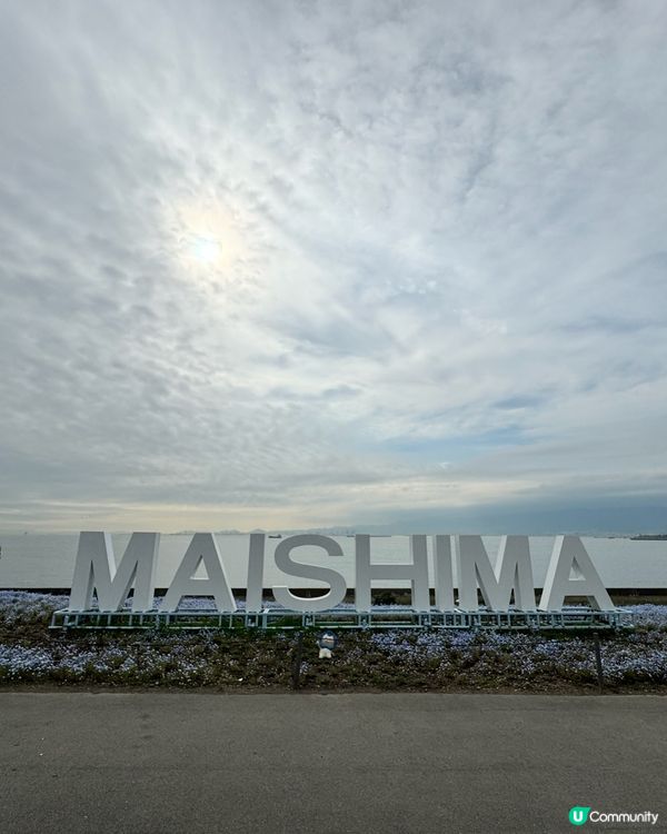 大阪粉蝶花祭✨ 4月限定💙