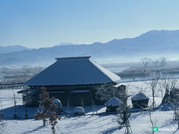 新潟 雪景 福島潟