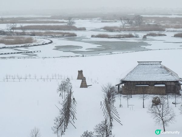 新潟 雪景 福島潟