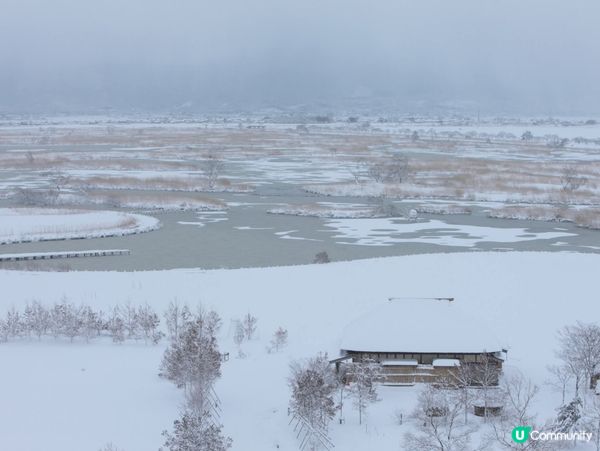 新潟 雪景 福島潟