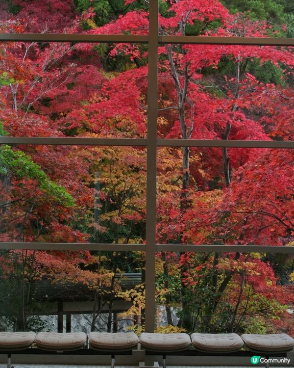 嘩！新潟都有油田？🤩 喺真唔喺呀？