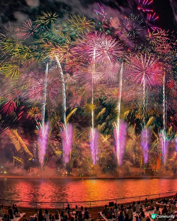 新潟祭300年！🎉 傳統文化好熱鬧！