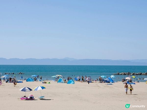 越前浜🏖️夏日秘境！水清沙幼玩餐飽！🌊😎