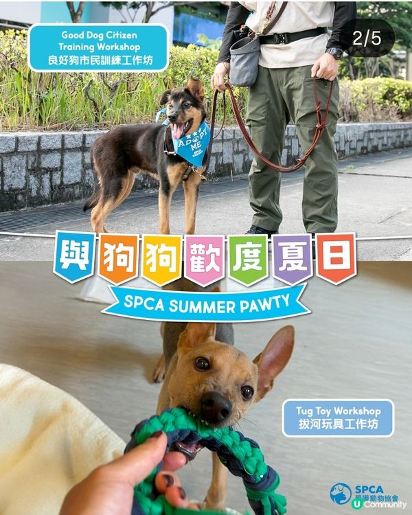 7月26日愛協領養日