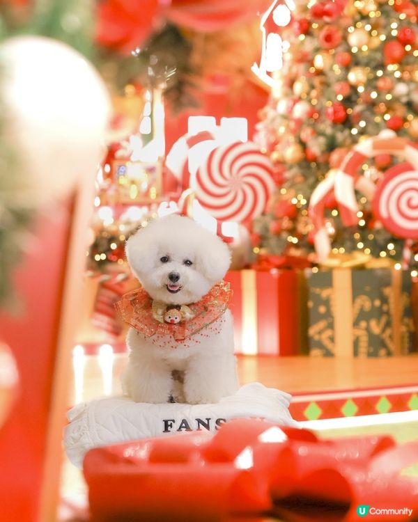 今年聖誕裝飾甜到爆！📸 紅色打卡位勁正！🎄