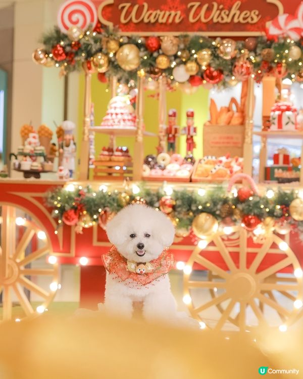 今年聖誕裝飾甜到爆！📸 紅色打卡位勁正！🎄