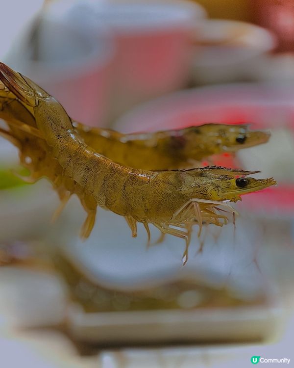 回本零難度‼️人均3️⃣百頭任食日本黑毛和牛A4+‼️