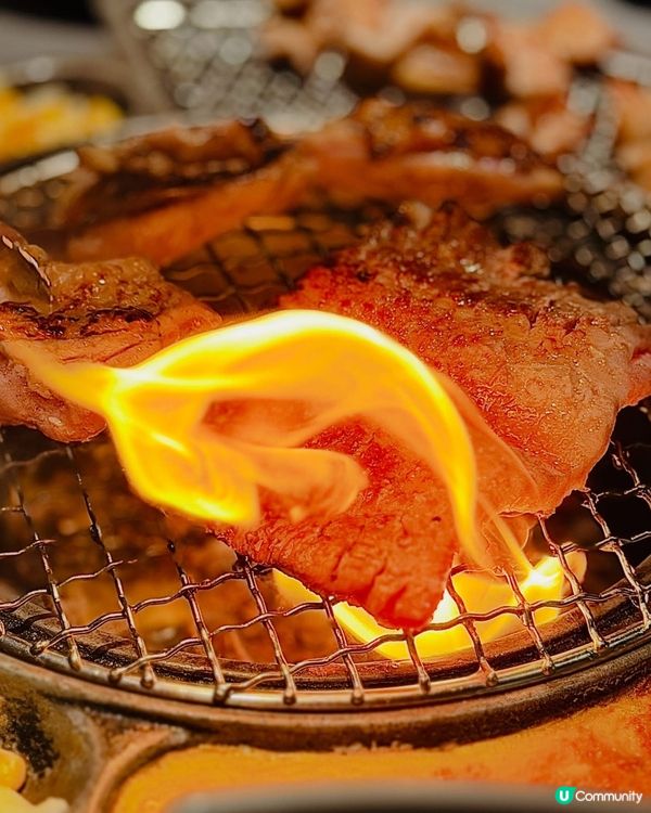 🎊聖誕大餐第一擊🎊炑八聖誕驚喜燒肉罐🎉