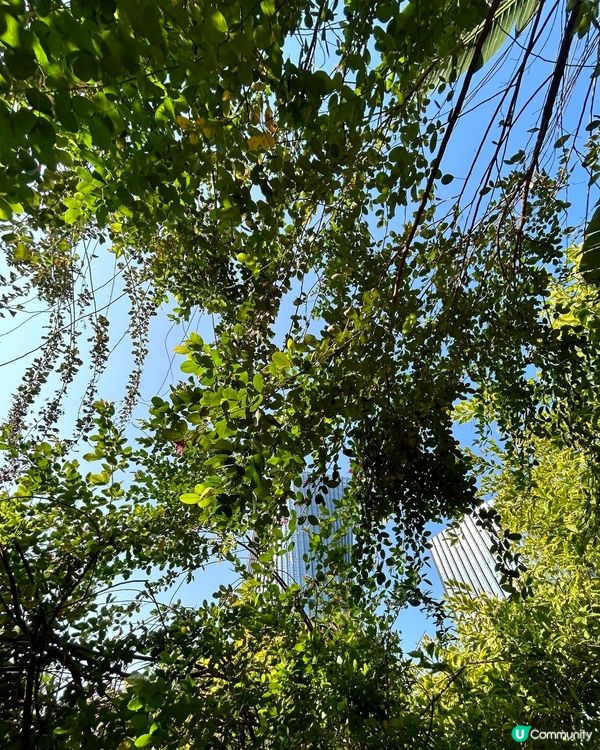佛山打卡！和美術館超靚！🤩