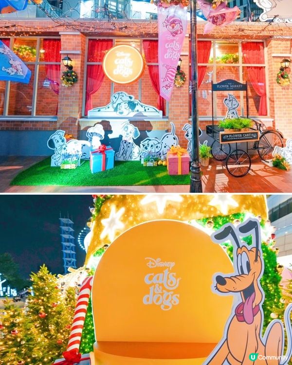 迪士尼聖誕🎄！16米高打卡位📸！萌爆！