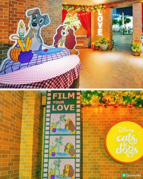 迪士尼聖誕🎄！16米高打卡位📸！萌爆！