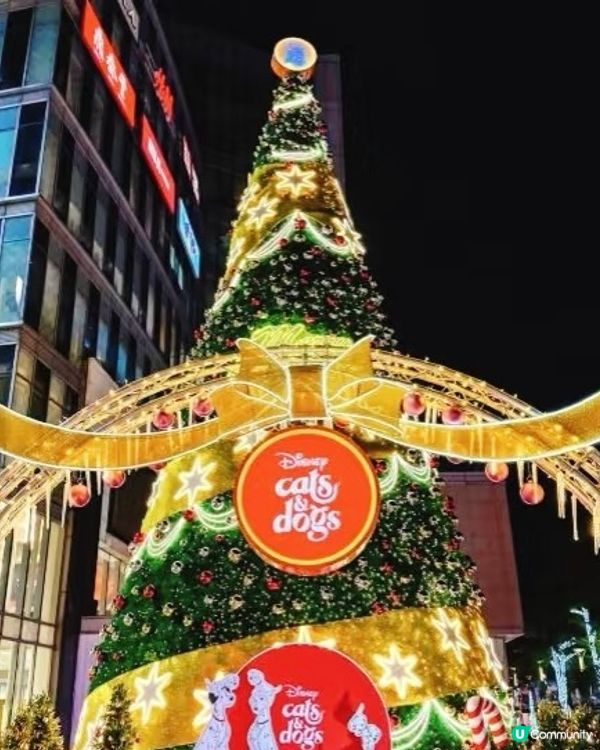 迪士尼聖誕🎄！16米高打卡位📸！萌爆！