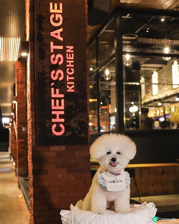 帶狗去食元朗FINE DINING 💭CP值高！ 