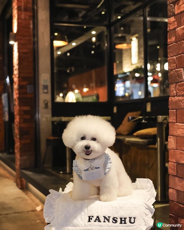 帶狗去食元朗FINE DINING 💭CP值高！ 