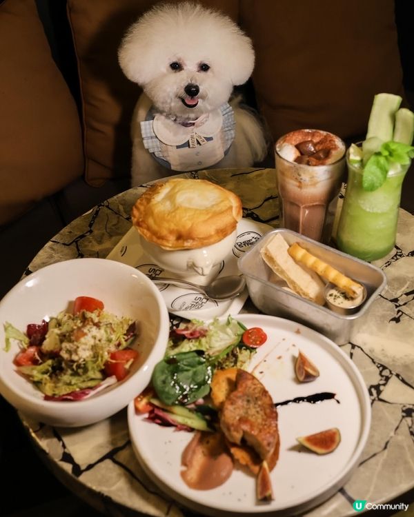 帶狗去食元朗FINE DINING 💭CP值高！ 