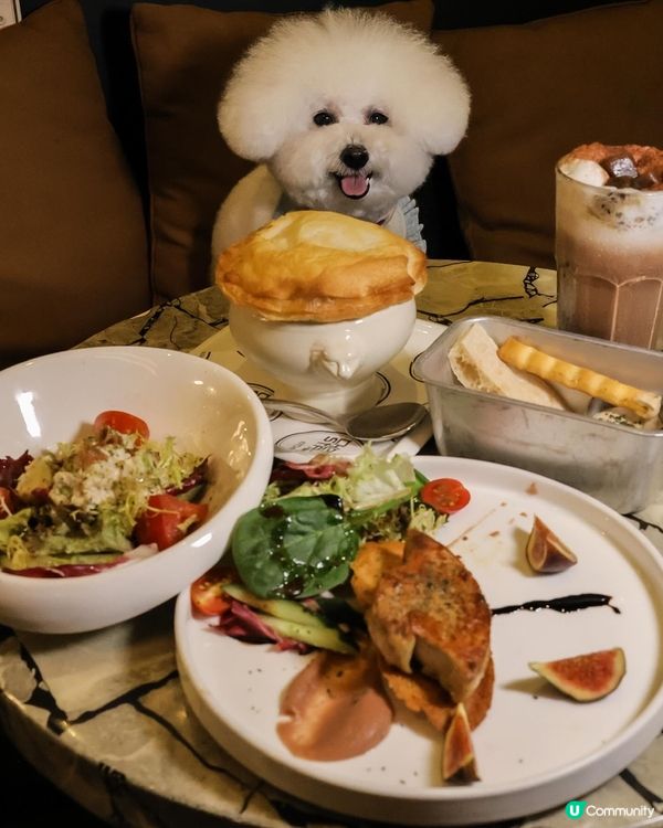 帶狗去食元朗FINE DINING 💭CP值高！ 