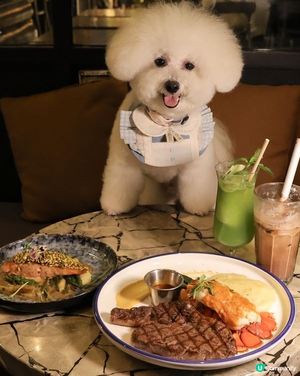 帶狗去食元朗FINE DINING 💭CP值高！ 