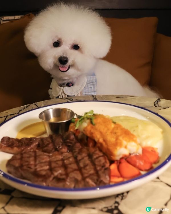 帶狗去食元朗FINE DINING 💭CP值高！ 
