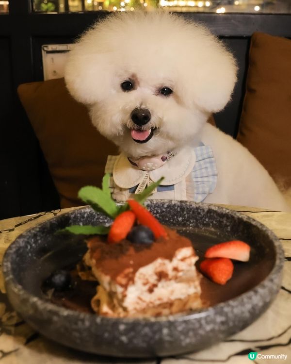 帶狗去食元朗FINE DINING 💭CP值高！ 