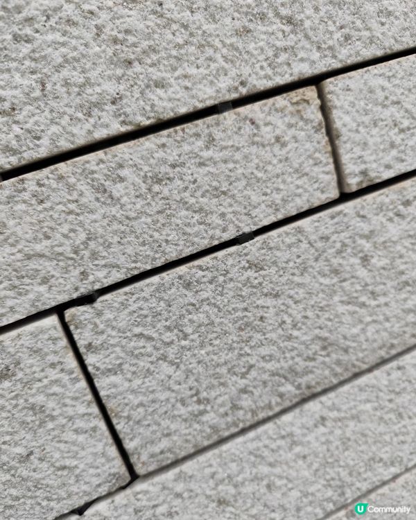 深圳灣文化廣場：手工麻麻哋？🤔