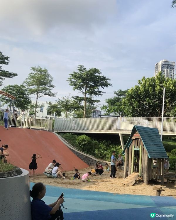 深圳頂崗湖濕地免費！🥳🎣