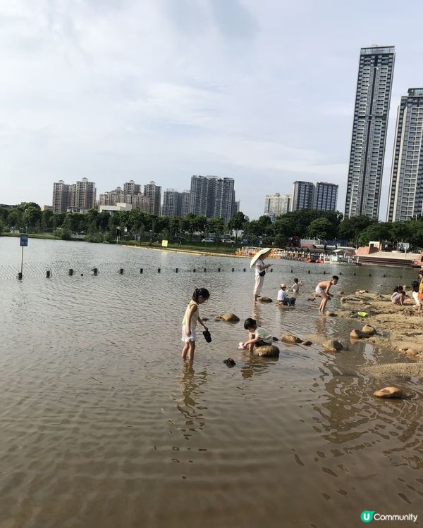 深圳頂崗湖濕地免費！🥳🎣