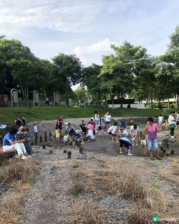 深圳頂崗湖濕地免費！🥳🎣