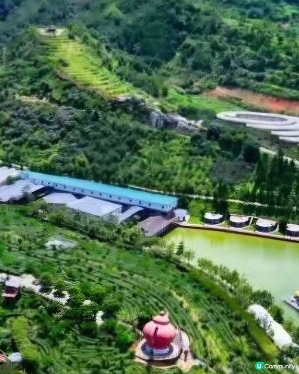 稻田😍開平大沙鎮大塘面村