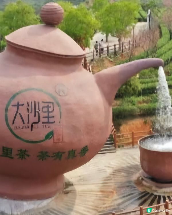 稻田😍開平大沙鎮大塘面村