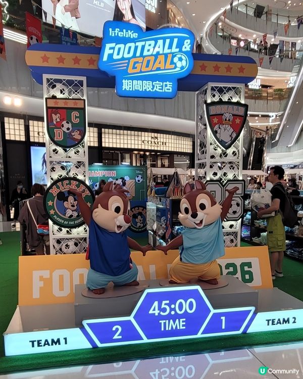 LifeLike FOOTBALL & GOAL