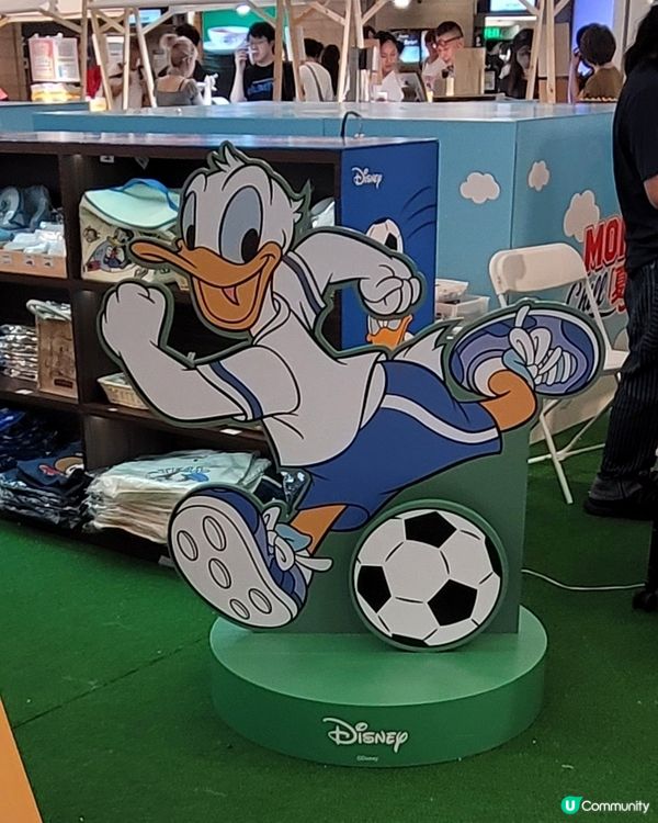 LifeLike FOOTBALL & GOAL