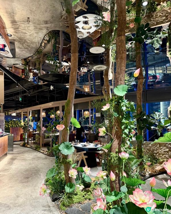 深圳森林花系火鍋店🌿