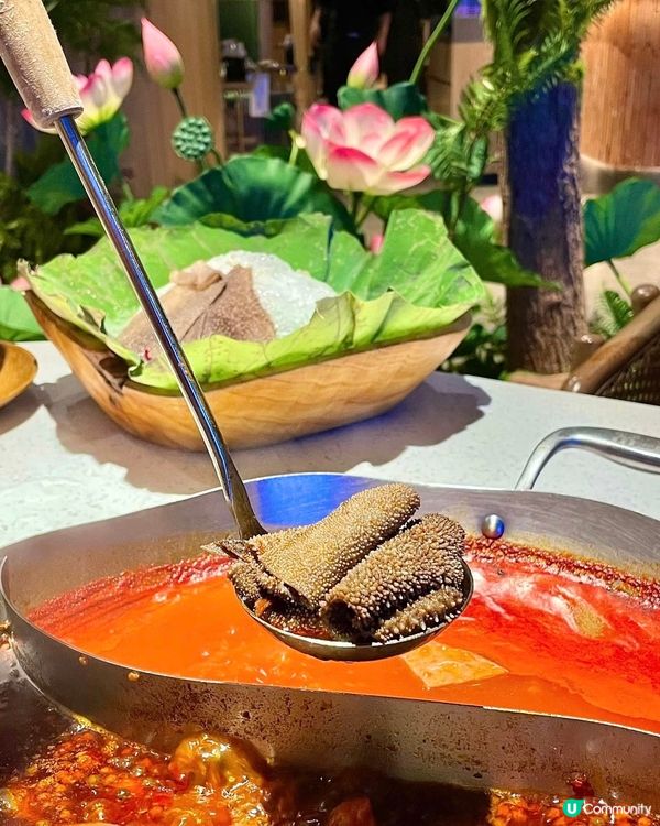 深圳森林花系火鍋店🌿