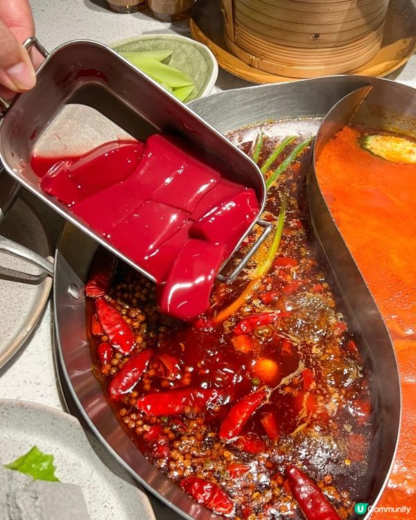 深圳森林花系火鍋店🌿