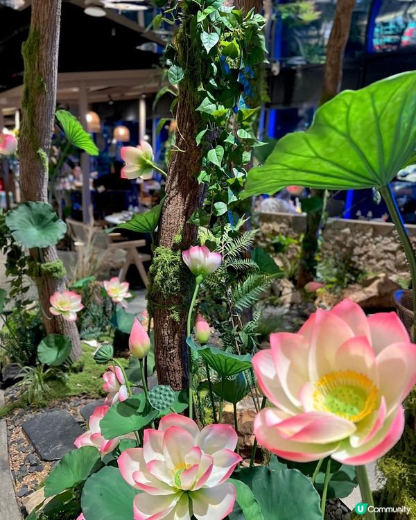 深圳森林花系火鍋店🌿