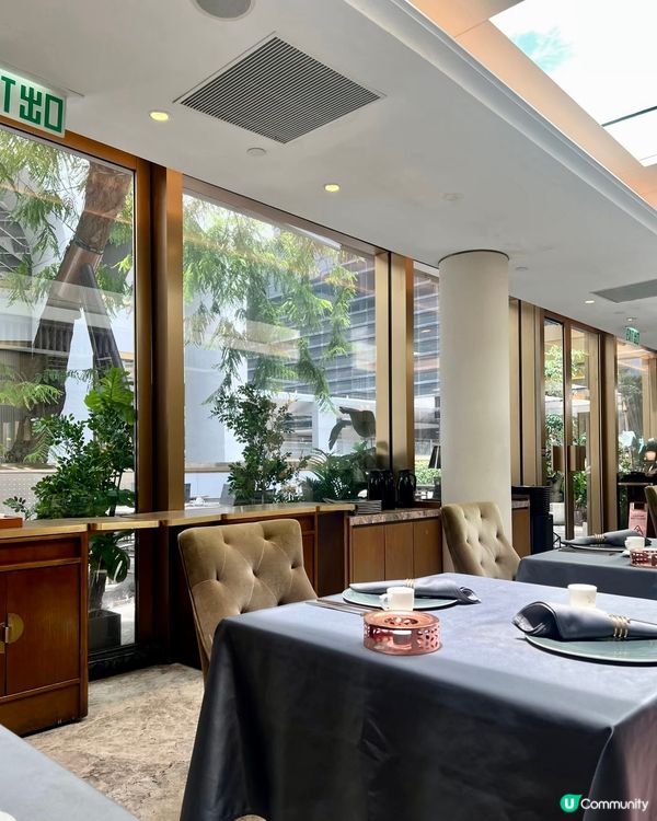 一飯封神✨跟住綜藝節目搵食😋