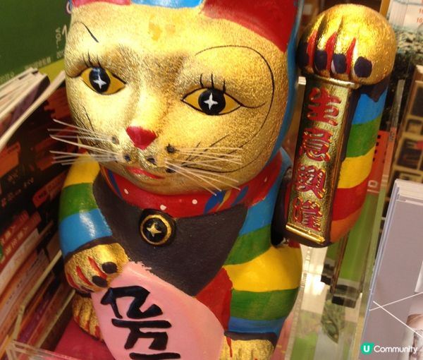 《小貓眷戀窗旁的彩虹時光》  我家的小貓最喜歡躺在婆婆舊居的...