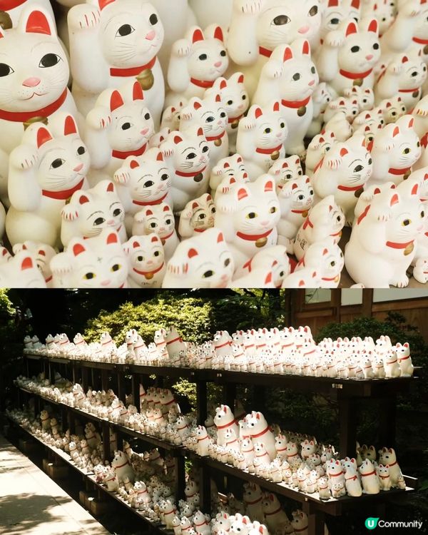 🇯🇵東京必去小眾景點 好多招財貓😻
